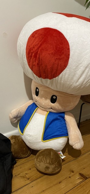 giant toad plush